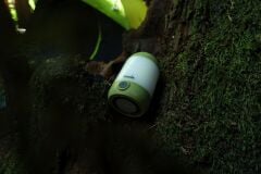 FENİX CL23 300 LÜMEN KAMP FENERİ